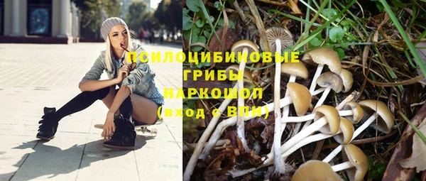 синтетический гашиш Красноперекопск