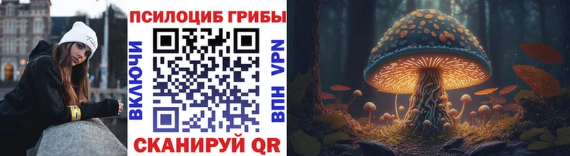 Псилоцибиновые грибы MAGIC MUSHROOMS  Электросталь 